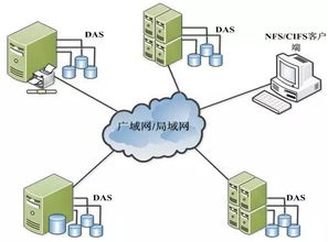 数据存储基石 设备类型、系统架构与服务支持全景解析
